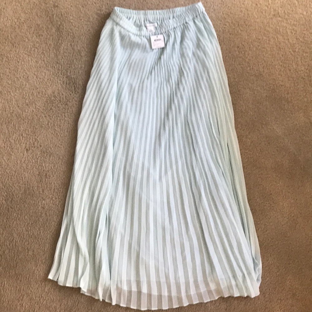 Club Monaco Pleated Egg Blue Maxi Skirt